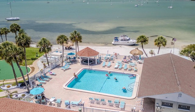 Your own tropical resort! Heated Pool & Pickleball