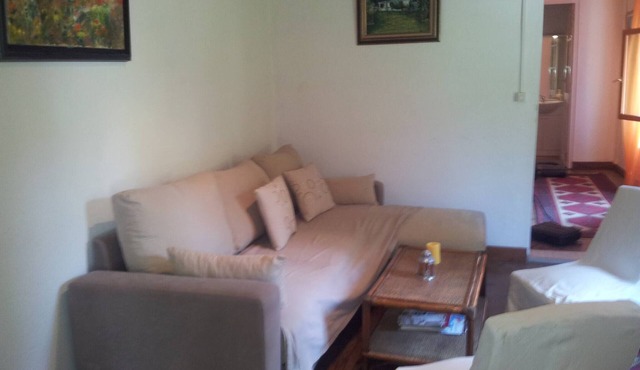 Your pink house with blue shutters