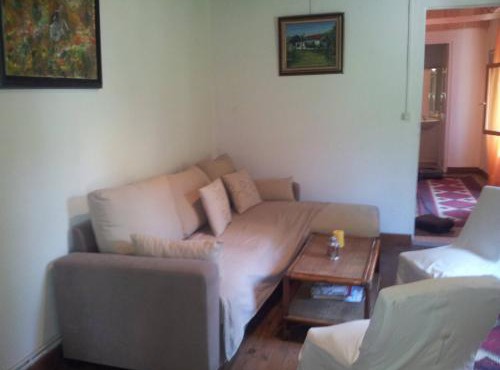 Your pink house with blue shutters