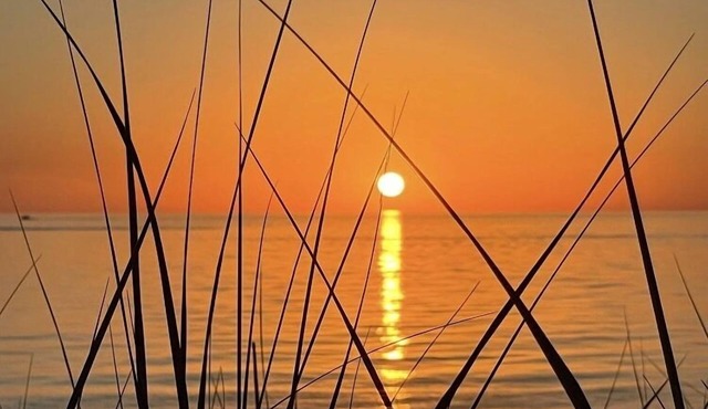 Your private beach on Lake Michigan RARE 4Nights available Jul 7-11. BOOK NOW!