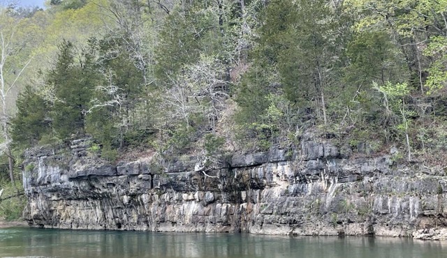 Your Relaxing Getaway Awaits! Pet-Friendly Cabins, Free Parking