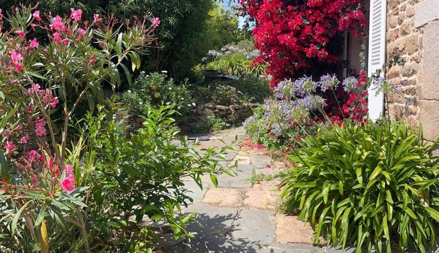 Your room in the heart of Brehat Island