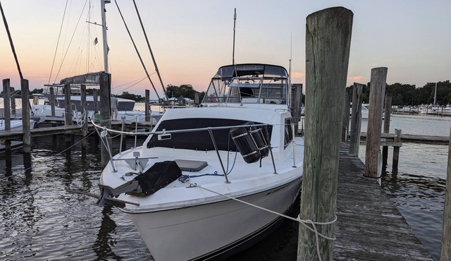 Your Tropical Oasis awaits in Hampton Roads Virginia