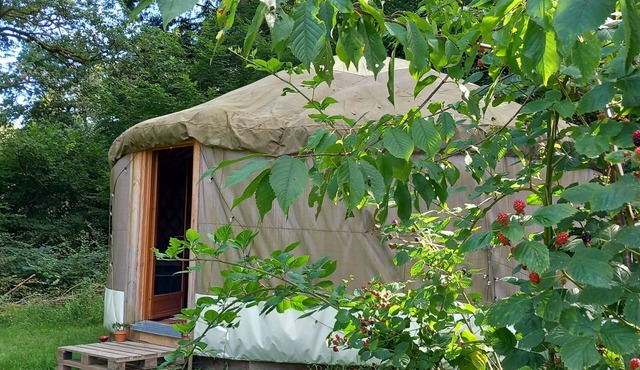 Yourte Contemporaine Dans Micro Ferme Bio