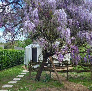 Yourte de déconnexion chauffage climatisation