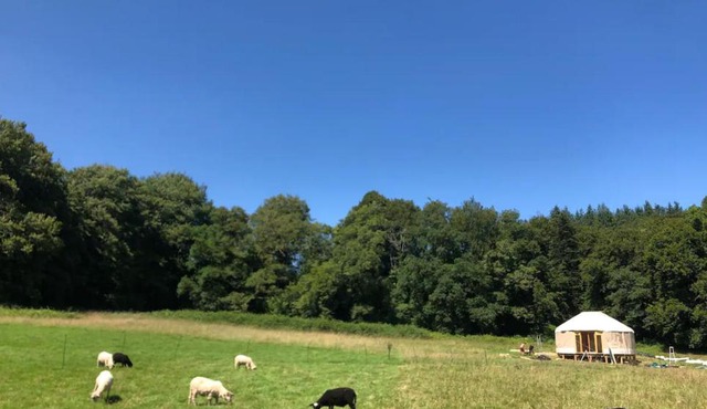 Yourte douillette, sauna, petite rivière, promenades bucoliques et sauvages