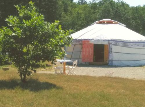 Yourte et nature