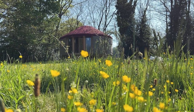 Yourte in Corrèze - La Main Sauvage