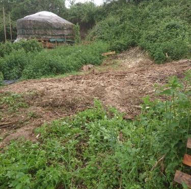 Yourte rustique en permaculture