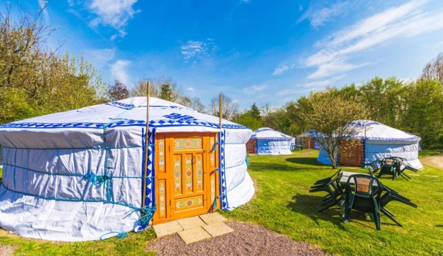 Yourte Traditionnelle de Mongolie : Idéale Pour un Séjour Insolite !