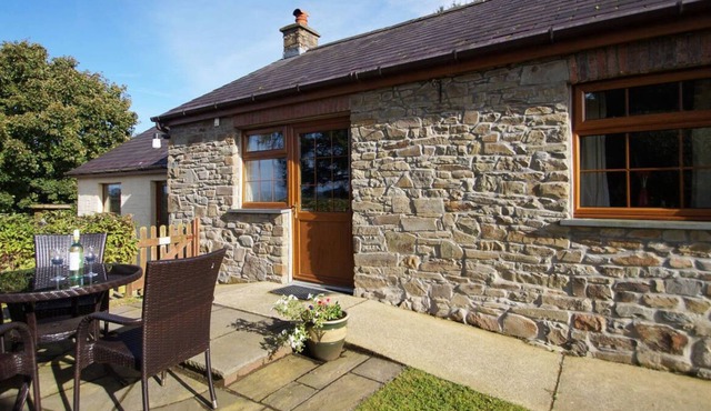 Yr Onwydden in the beautiful Lampeter