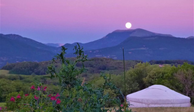 Yurt and tent cabin rentals