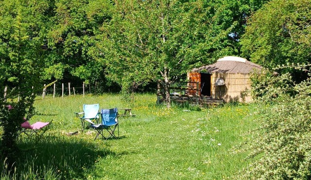 Yurt B & B on magnificent property