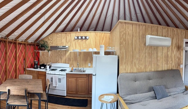 Yurt - Camping Yurt with Kitchen