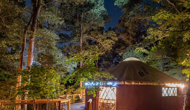 Yurt Floating in the Forest