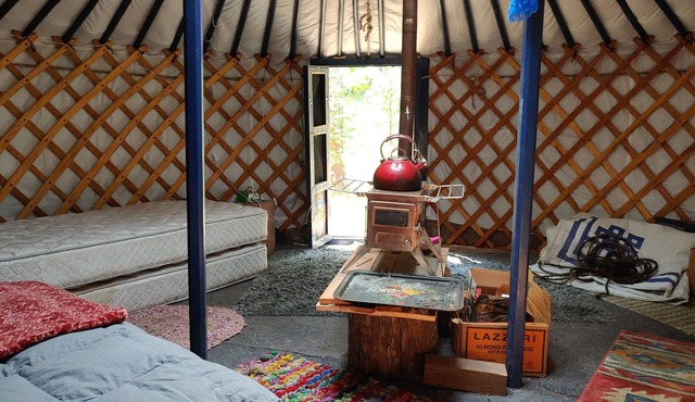 Yurt in Secluded Setting Near Mt Shasta/McCloud, CA