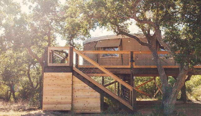 Yurt in the trees w TX stars & Pickleball