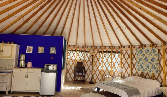 Yurt in Woods of Western Catskills