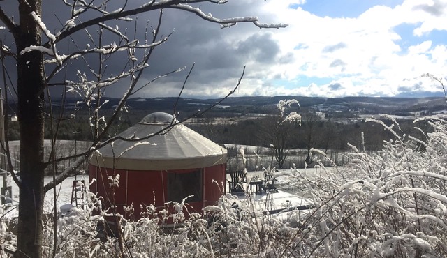 Yurt rental on 80 private floors