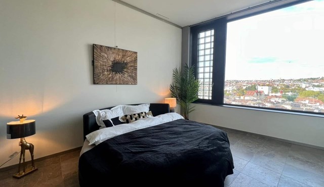 Zürich Penthouse Paradise: Stunning City Views!