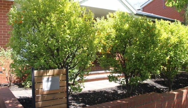 Zannies House located in a quiet neighbourhood