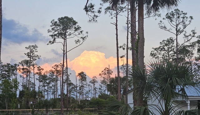 Zara Camper on a Horse farm 25min to Beach!