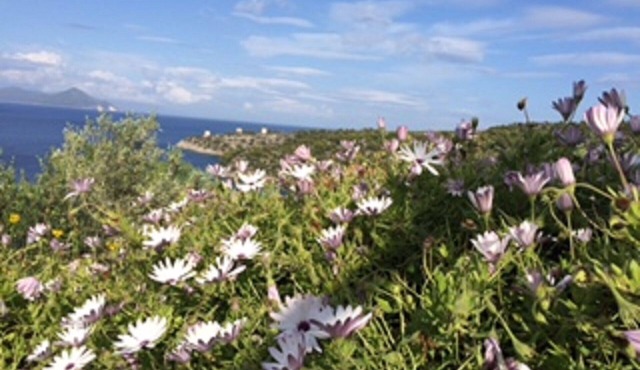 Zaros House. Two bed traditional renovated house with sea views in Kioni.