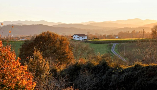 ZAZPITHURRIA - ARBOUET