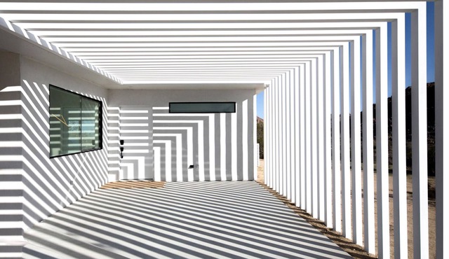 Zebra Shadow