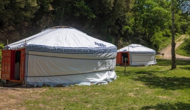 ZEcamping 2 étoiles pataugeoire piscine chiens acceptés chalet 20m2