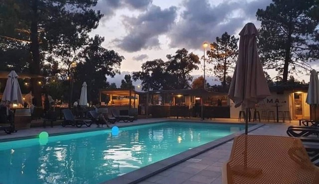ZEcamping 3 étoiles animaux acceptés piscine et aire de jeux