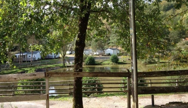 ZEcamping 3* animaux acceptés piscine chauffée et épicerie