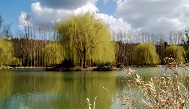 ZEcamping 3 étoiles familial aux portes de Fontainebleau