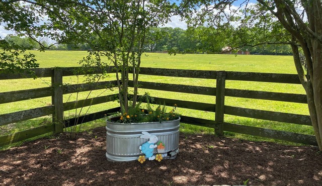 Zeke’s House: Bed and Barn Bliss