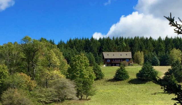 Zelený Les: house in a secluded 100 acre wood with meadows, pond, and brook
