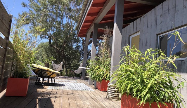Zen cabin in the bush