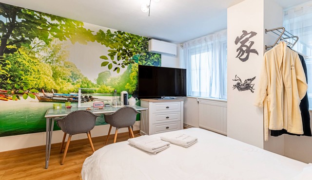 Zen chambre d'hôtes in the heart of Nancy