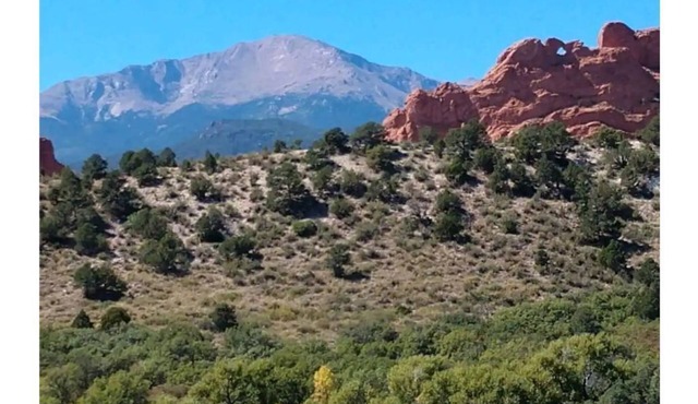 Zen Garden at the Garden