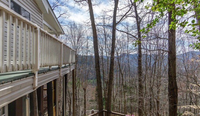 Zen Hideaway | Covered Deck, Winter View, 6 min. to Lake Susan!