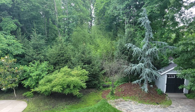 Zen Retreat minutes from Princeton...