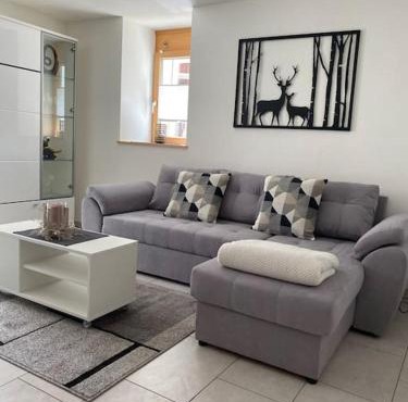 Zentrale Wohnung in ruhiger Lage in Baltschieder