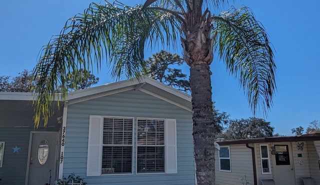 Zephyrhills Florida close to Tampa, Zoo, Hard Rock, and Bush Gardens.nPool.