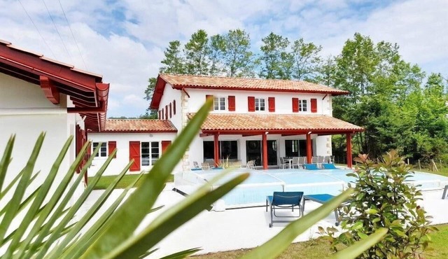 ZERUKO IZARRA - SARE