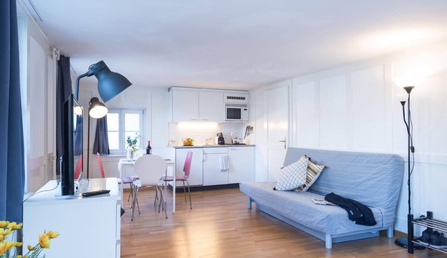 ZG Zeughausgasse VI - Apartment