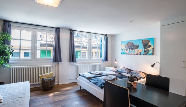 ZH Gasse 3 - HITrental Schmidgasse Apartment