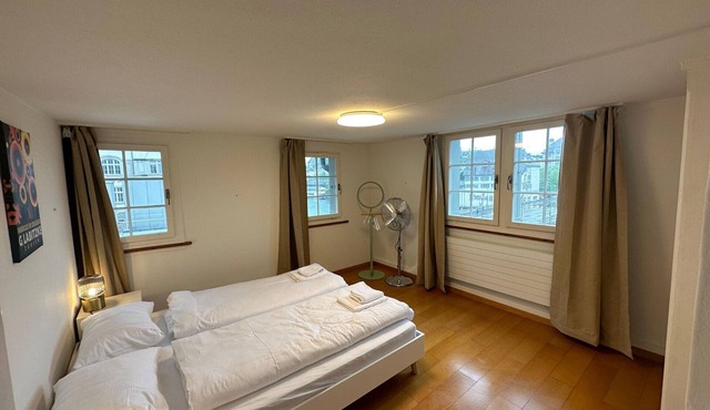 ZH Hesse 4 - Limmatquai HITrental Apartment