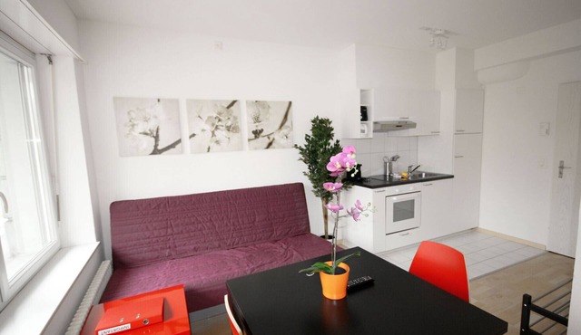 ZH Inler - Stauffacher HITrental Apartment