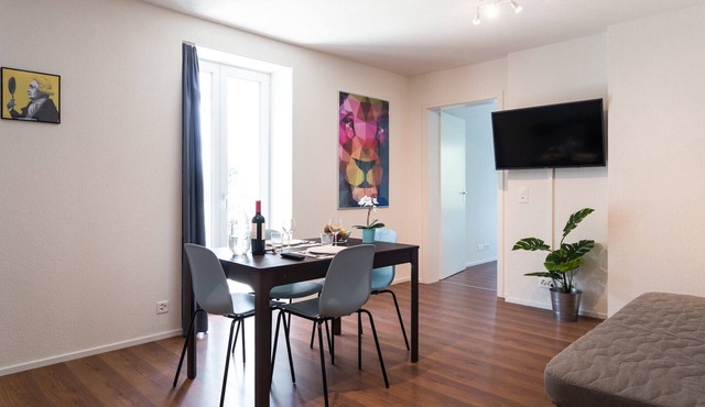 ZH Lion - Altstetten HITrental Apartment