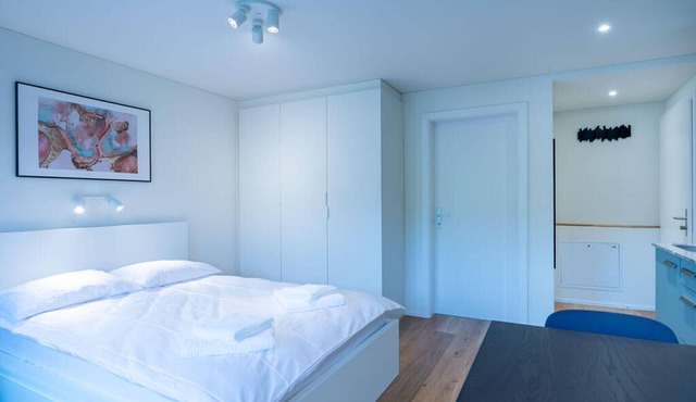 ZH Maxilla 3 - Riesbach HITrental Apartments