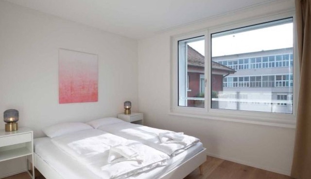 ZH Pink 2 - Letzigrund HITrental Apartment by Interhome